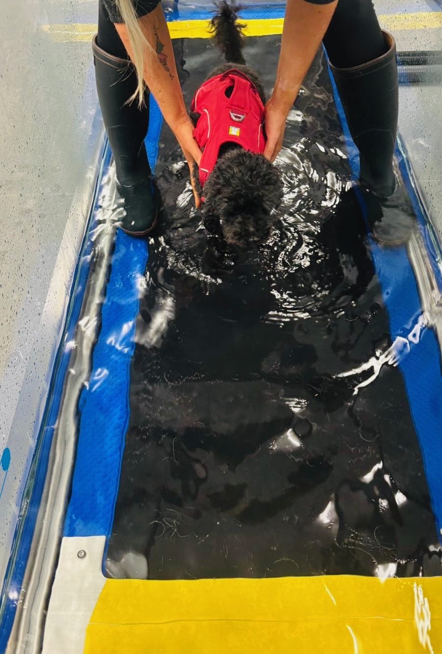 Underwater Treadmill